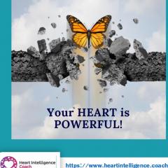 Divine Guidance with Patricia: Focusing on SOULutions for Your Whole BEing: Transforming Your Anxiety & Accessing Your Heart Intelligence.