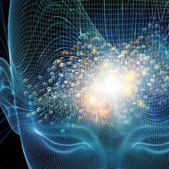 The Ecosystem Approach™ Show with Jason & Patricia Rohn: A revolutionary way to infinite potential!: Self-knowledge part 2 - how to get this knowledge when the deck is stacked against you!